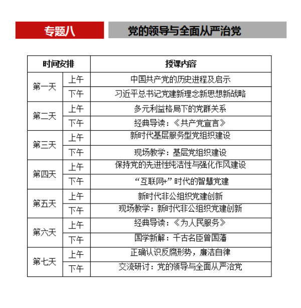 党的十九大精神解读专题项目